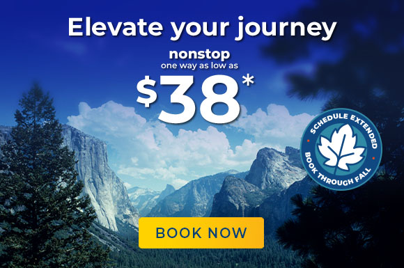 Elevate your journey