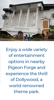 Book Now