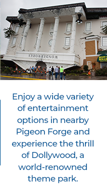 Book Now