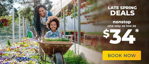 Late Spring Deals (May)