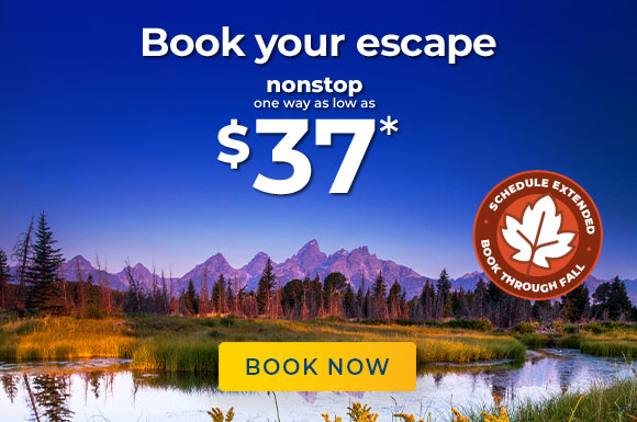 Book your escape