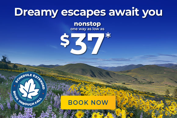 Dreamy escapes await you