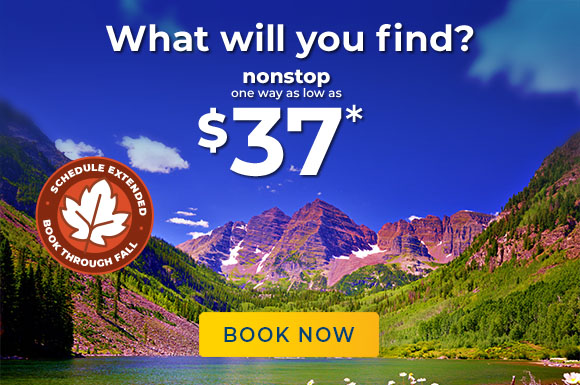What will you find?