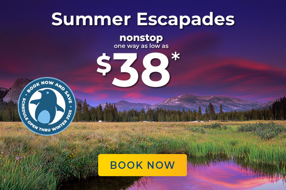 Summer Escapades