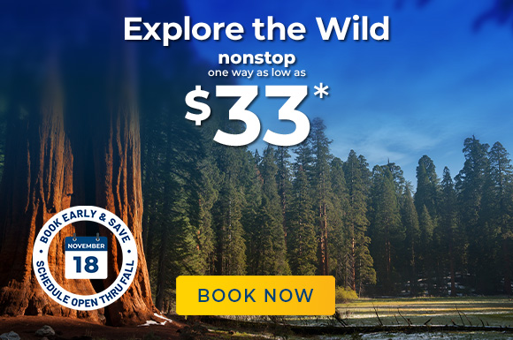 Explore the Wild