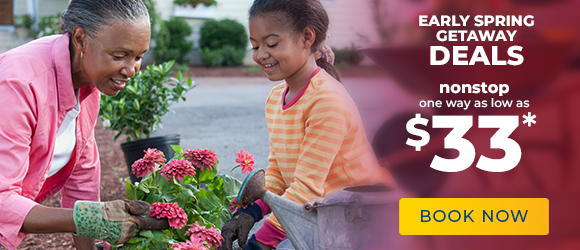 Early Spring Deals