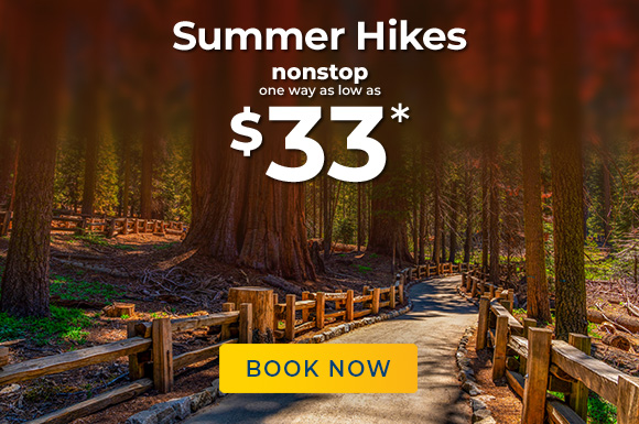 Summer Hikes