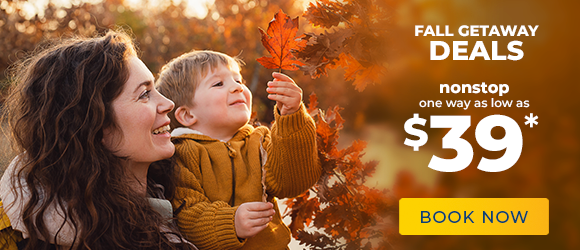 Fall Deals