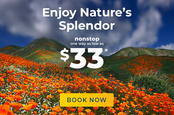 Enjoy Nature’s Splendor