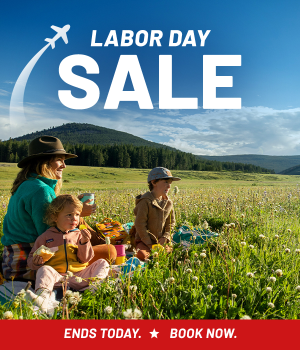 LABOR DAY SALE | 2 Days Only - Ends Tuesday.